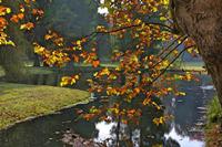 Cjp_2009_10_29_151546 (1)_HDR-D1.jpg